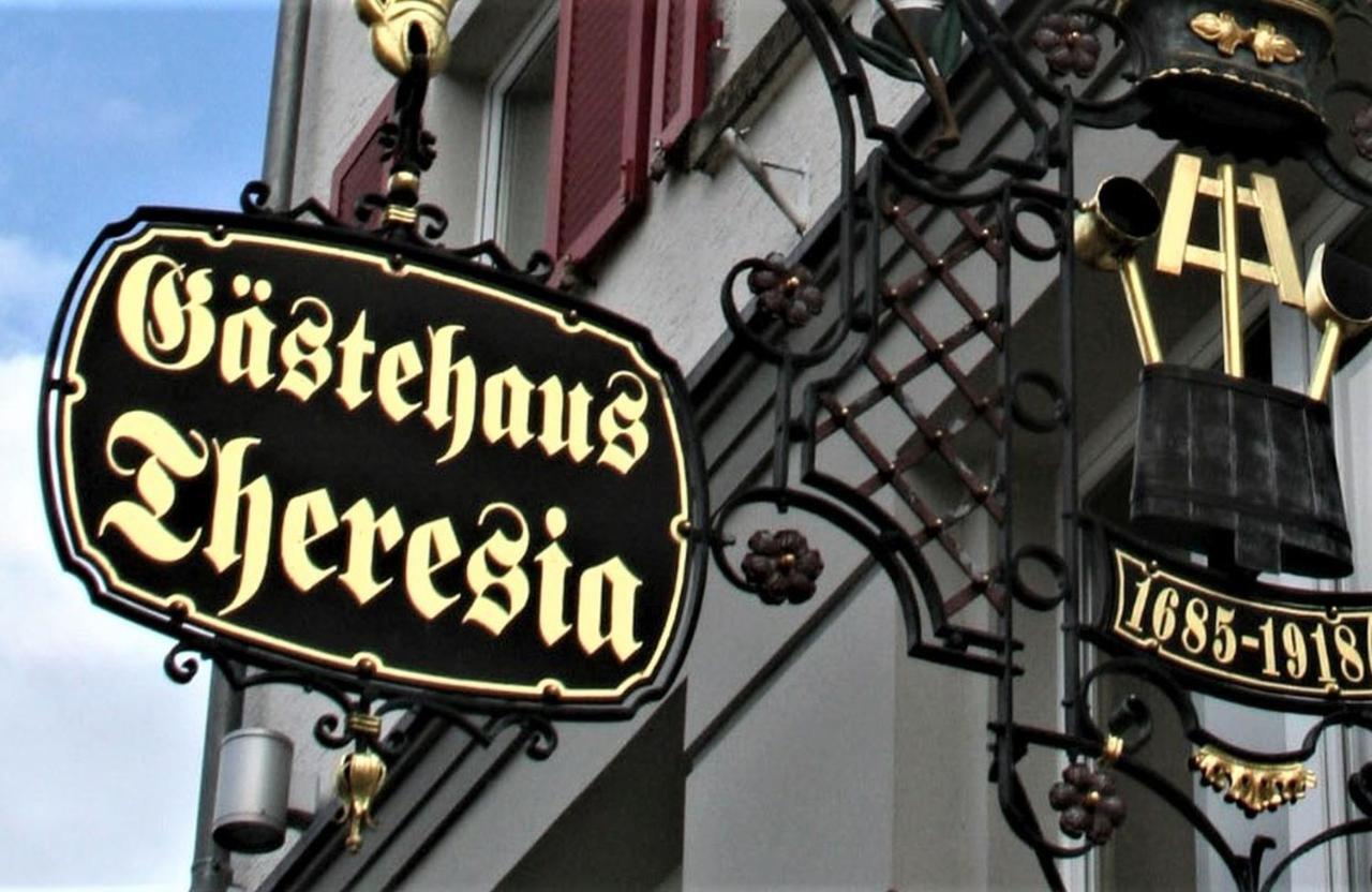 Hotel Gaestehaus Theresia Garni Muhlheim an der Donau Luaran gambar